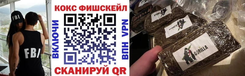 сколько стоит  Гаджиево  COCAIN 99% 